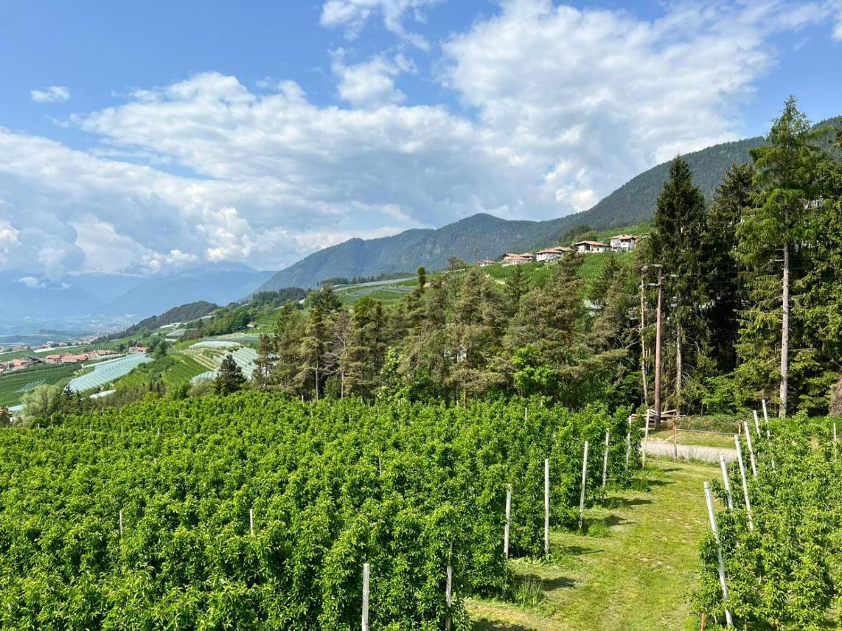 Agritur Maso Forcola Villa Brez Bagian luar foto